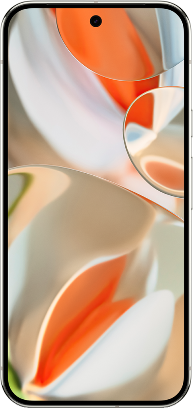 Google Pixel 9 Pro XL